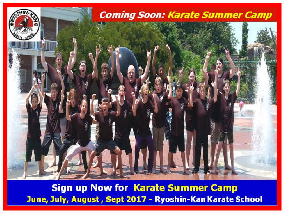 karatesummercamp2017ad2.jpg