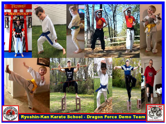 karatestudentsactionposter1.jpg