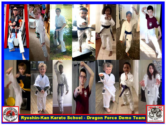 karatestudentsinactionposter4.jpg