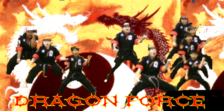 dragonforcenationalkarateteam2010.jpg